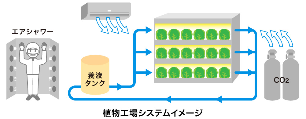 植物工場